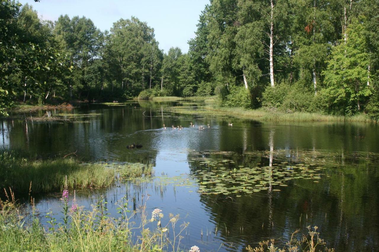 Torups Vandrarhem Torup  Bagian luar foto